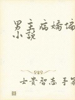 男主病娇偏执的小说