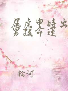 属虎申时出生的男孩命运