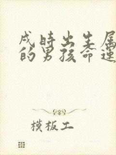 戌时出生属虎的的男孩命运