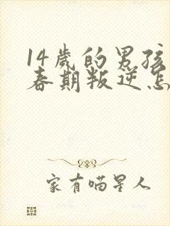 14岁的男孩青春期叛逆怎么处理