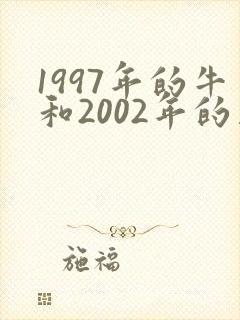 1997年的牛和2002年的马婚配
