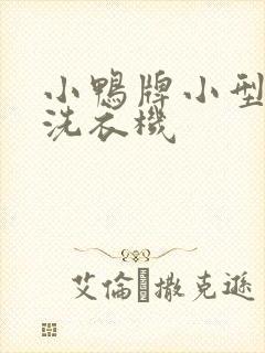 小鸭牌小型双桶洗衣机