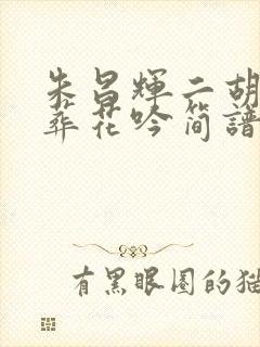 朱昌辉二胡演奏葬花吟简谱