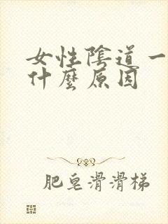 女性阴道一直湿什么原因