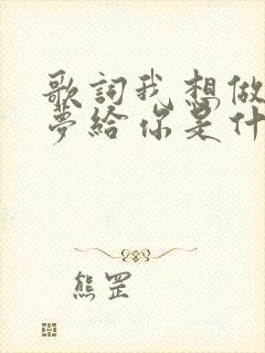 歌词我想做一个梦给你是什么歌