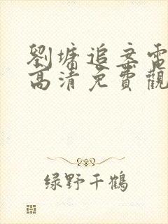 刘墉追案电视剧高清免费观看