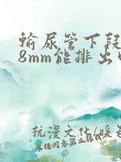输尿管下段结石8mm能排出吗