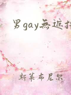 男gay无遮挡