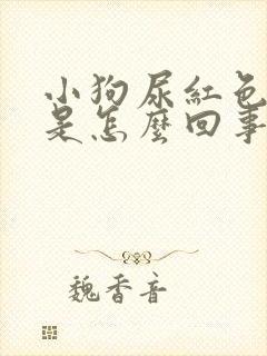 小狗尿红色的尿是怎么回事