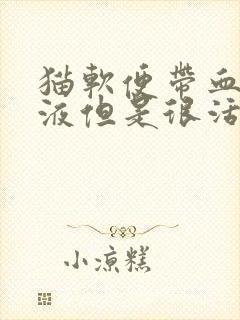 猫软便带血有粘液但是很活跃