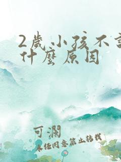 2岁小孩不说话什么原因