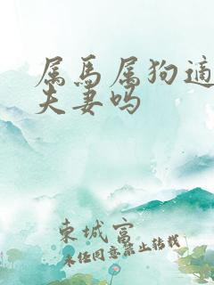 属马属狗适合做夫妻吗