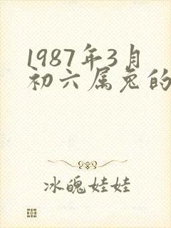 1987年3月初六属兔的命运