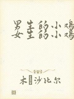 男生的小鸡鸡和女生的小鸡鸡里面