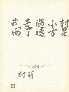 我走过小村庄走向了远方是什么歌