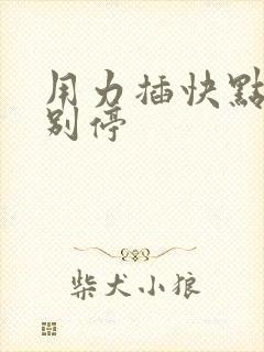 用力插快点用力别停