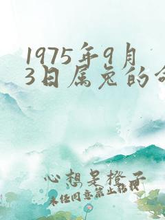 1975年9月3日属兔的命运