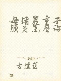 母猪严重子宫内膜炎怎么治疗