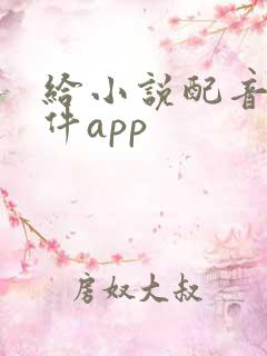 给小说配音的软件app