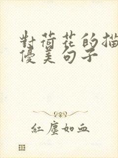 对荷花的描写的优美句子