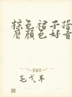 棕色裙子搭配什么颜色好看 上衣