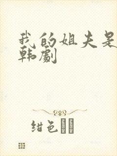 我的姐夫是我的韩剧