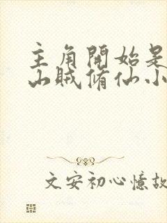 主角开始是个小山贼修仙小说