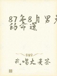 87年8月男兔的命运