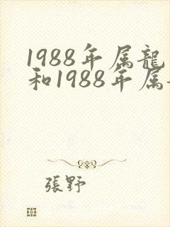 1988年属龙和1988年属龙婚配