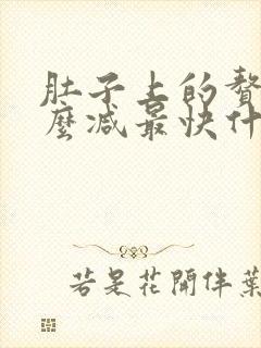 肚子上的赘肉怎么减最快什么运动