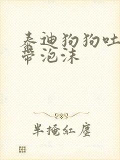 泰迪狗狗吐黄水带泡沫