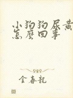 小狗狗尿黄尿是怎么回事