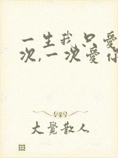 一生我只爱你一次,一次爱你一生是什么歌