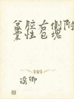 盆腔右侧附件区囊性包块