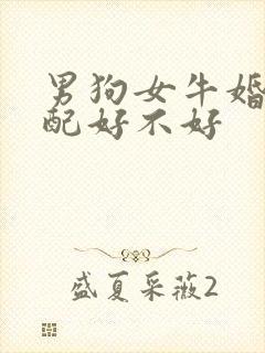 男狗女牛婚姻相配好不好