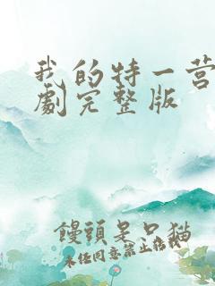 我的特一营电视剧完整版