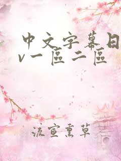 中文字幕日韩av一区二区