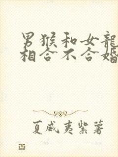 男猴和女龙的属相合不合婚姻