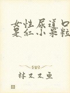 女性尿道口两边是红小米粒怎么回事