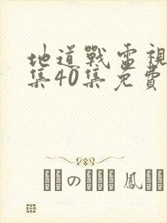 地道战电视剧全集40集免费观看