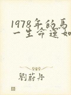 1978年的马一生命运如何