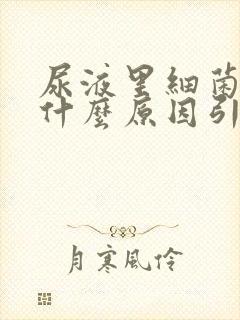 尿液里细菌高是什么原因引起的