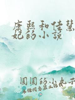 康熙和佳慧太子妃的小说