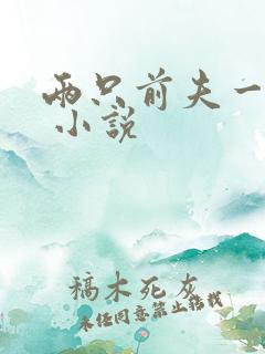 两只前夫一台戏 小说