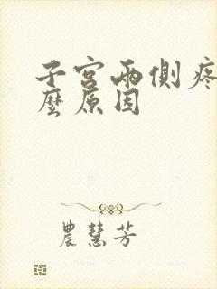 子宫两侧疼是什么原因