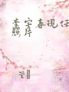 李宇春现任老公照片