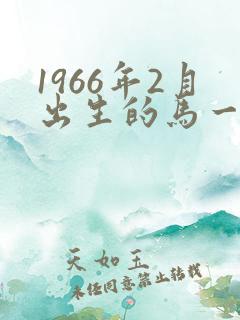 1966年2月出生的马一生的命运