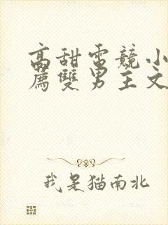 高甜电竞小说推荐双男主文