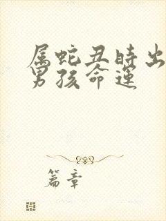 属蛇丑时出生的男孩命运