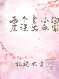 两个月小狗咬破皮没出血需要打针吗